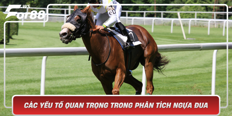 Cac Yeu To Quan Trong Trong Phan Tich Ngua Dua