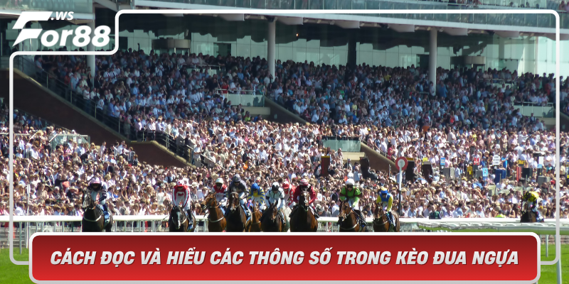 Cach Doc Va Hieu Cac Thong So Trong Keo Dua Ngua Chia Khoa De Chien Thang