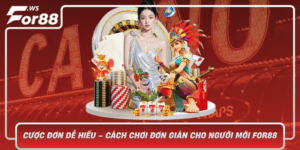 Cuoc Don De Hieu Cach Choi Don Gian Cho Nguoi Moi For88