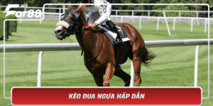 Keo Dua Ngua Hap Dan Kham Pha The Gioi Dua Ngua Cung For88