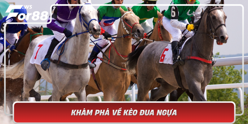 Kham Pha Ve Keo Dua Ngua Sam Set Trong The Gioi Ca Cuoc The Thao