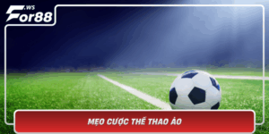 Meo Cuoc The Thao Ao Chien Thuat Thang Lon Cho Dan Choi