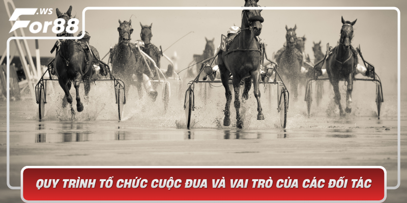 Quy Trinh To Chuc Cuoc Dua Va Vai Tro Cua Cac Doi Tac