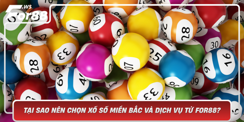 Tai Sao Nen Chon Xo So Mien Bac Va Dich Vu Tu For88