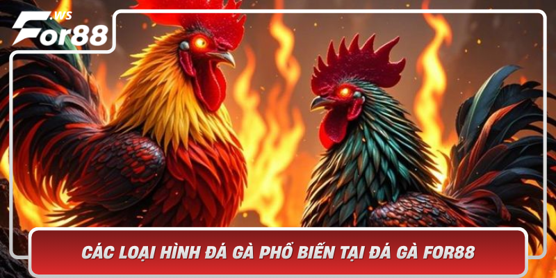 Cac Loai Hinh Da Ga Pho Bien Tai Da Ga For88