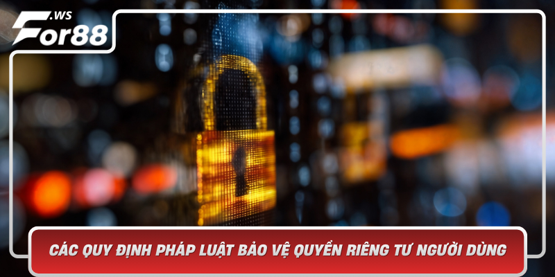 Cac Quy Dinh Phap Luat Bao Ve Quyen Rieng Tu Nguoi Dung Ap Dung Trong Thuc Te