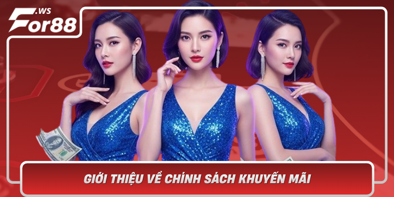 Gioi Thieu Ve Chinh Sach Khuyen Mai Trong Nganh Ca Cuoc Truc Tuyen