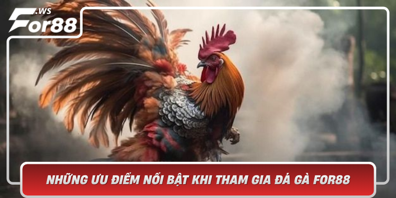 Nhung Uu Diem Noi Bat Khi Tham Gia Da Ga For88