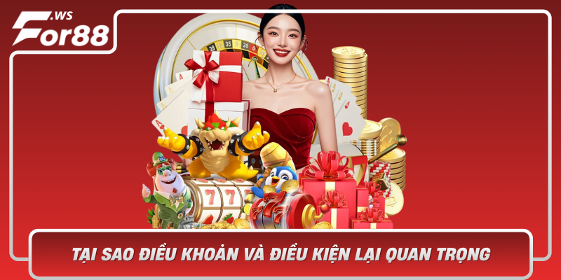 Tai Sao Dieu Khoan Va Dieu Kien Lai Quan Trong Trong The Gioi So